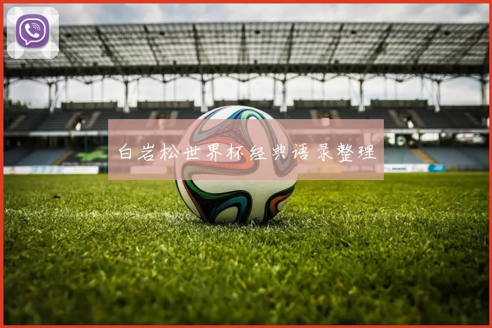 白岩松世界杯经典语录整理