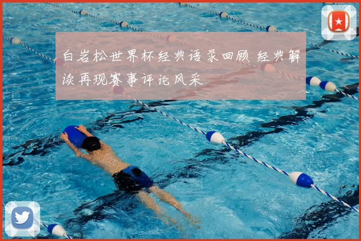 白岩松世界杯经典语录回顾 经典解读再现赛事评论风采