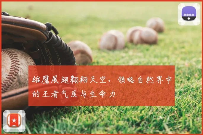 雄鹰展翅翱翔天空，领略自然界中的王者气度与生命力