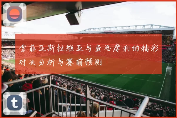 索菲亚斯拉维亚与查洛摩利的精彩对决分析与赛前预测