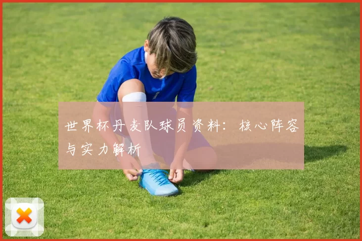 世界杯丹麦队球员资料:核心阵容与实力解析