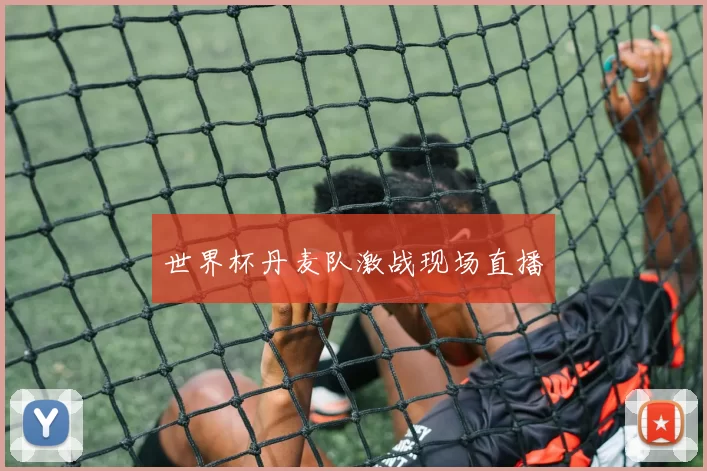 世界杯丹麦队激战现场直播