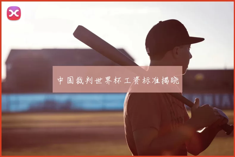 中国裁判世界杯工资标准揭晓