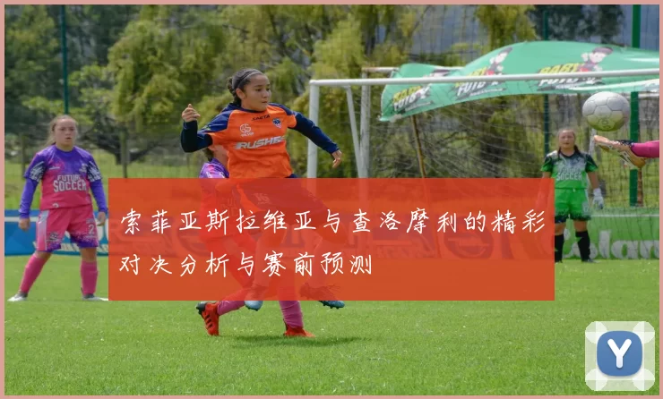 索菲亚斯拉维亚与查洛摩利的精彩对决分析与赛前预测