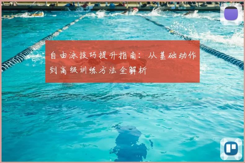 自由泳技巧提升指南:从基础动作到高级训练方法全解析