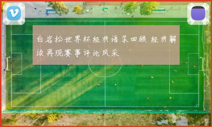 白岩松世界杯经典语录回顾 经典解读再现赛事评论风采