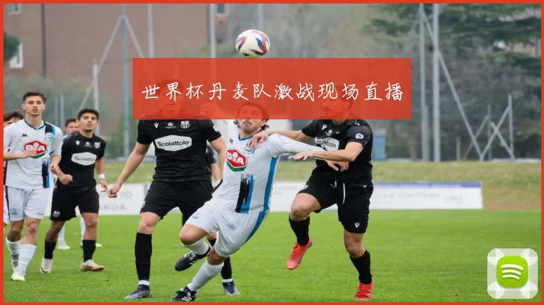 世界杯丹麦队激战现场直播