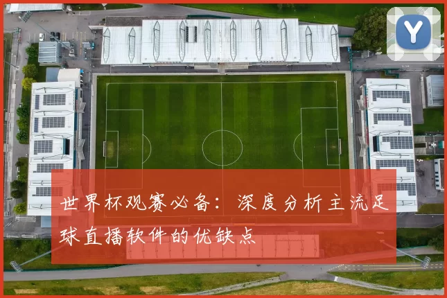 世界杯观赛必备:深度分析主流足球直播软件的优缺点