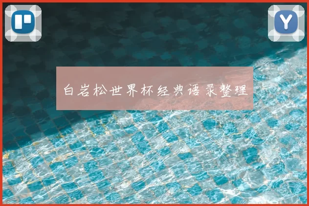 白岩松世界杯经典语录整理