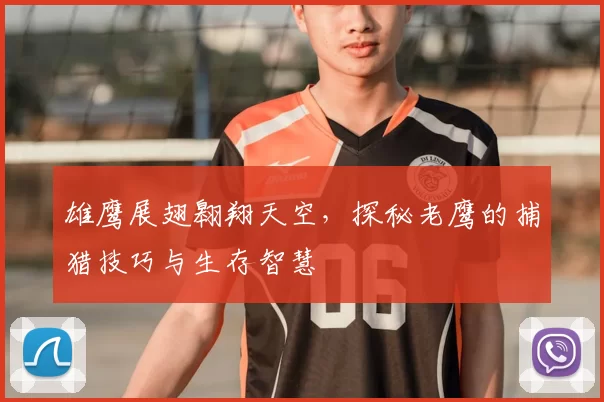 雄鹰展翅翱翔天空,探秘老鹰的捕猎技巧与生存智慧