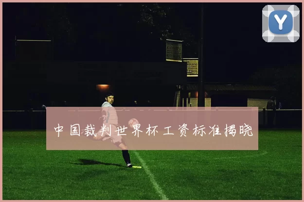 中国裁判世界杯工资标准揭晓